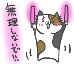 idol light cat sticker #5335702