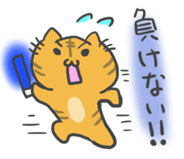 idol light cat sticker #5335714