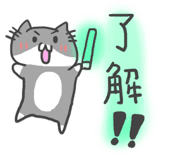 idol light cat sticker #5335715