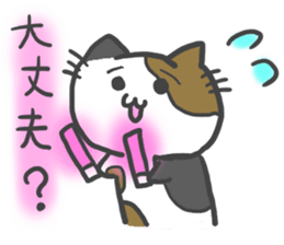 idol light cat sticker #5335724