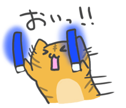 idol light cat sticker #5335737