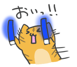 idol light cat sticker #5335737