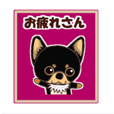 Pretty Chihuahua sticker #5336381
