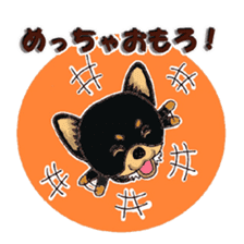 Pretty Chihuahua sticker #5336384