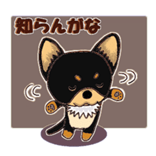 Pretty Chihuahua sticker #5336385