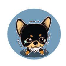 Pretty Chihuahua sticker #5336386