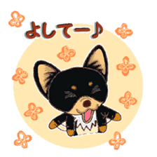 Pretty Chihuahua sticker #5336387