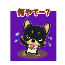Pretty Chihuahua sticker #5336389