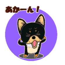 Pretty Chihuahua sticker #5336400