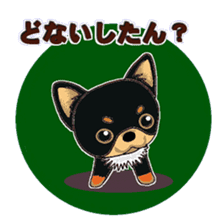 Pretty Chihuahua sticker #5336408
