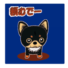 Pretty Chihuahua sticker #5336409