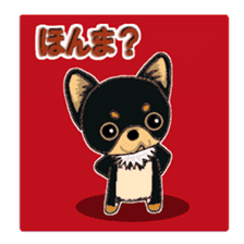 Pretty Chihuahua sticker #5336412