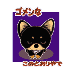 Pretty Chihuahua sticker #5336415