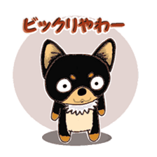 Pretty Chihuahua sticker #5336416