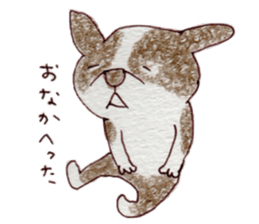 BostonTerrier's Friends sticker #5337239