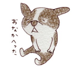 BostonTerrier's Friends sticker #5337239