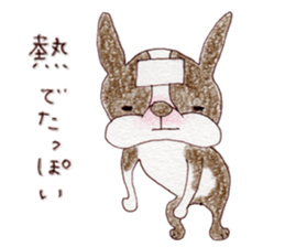 BostonTerrier's Friends sticker #5337243