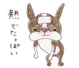 BostonTerrier's Friends sticker #5337243