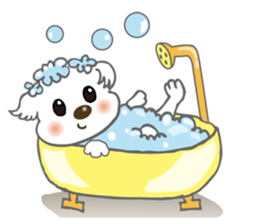 Maltese Dog Money sticker #5338043