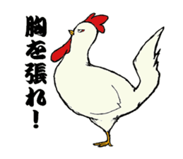 The cool chicken with little chick sticker #5338502