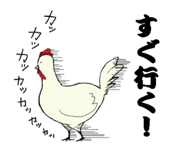 The cool chicken with little chick sticker #5338530