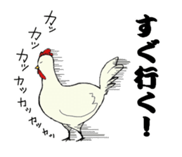 The cool chicken with little chick sticker #5338530