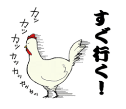The cool chicken with little chick sticker #5338530