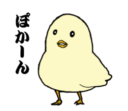 The cool chicken with little chick sticker #5338535