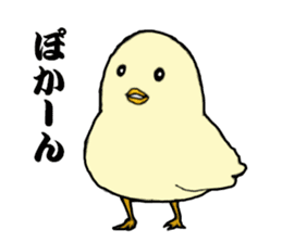 The cool chicken with little chick sticker #5338535