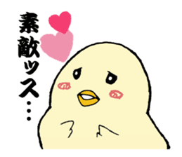 The cool chicken with little chick sticker #5338539