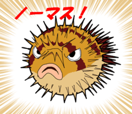Porcupine fish NOMASS sticker #5340223