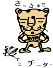 Cheetahs sticker #5340314