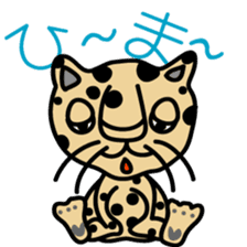 Cheetahs sticker #5340320