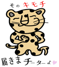 Cheetahs sticker #5340323