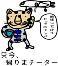 Cheetahs sticker #5340336