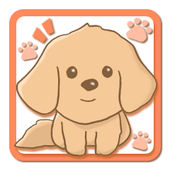 Miniature dachshund reply