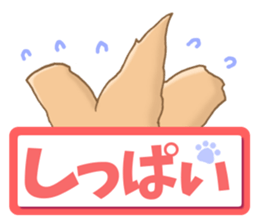 Miniature dachshund reply sticker #5346747