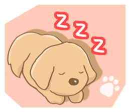 Miniature dachshund reply sticker #5346755