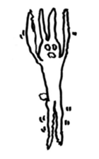 RABBIT TERUSUKE sticker #5348343