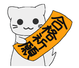 Examination cat OKOJO sticker #5350036