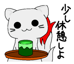 Examination cat OKOJO sticker #5350038