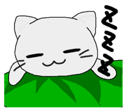 Examination cat OKOJO sticker #5350039