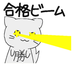 Examination cat OKOJO sticker #5350041