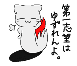 Examination cat OKOJO sticker #5350042