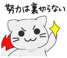 Examination cat OKOJO sticker #5350044