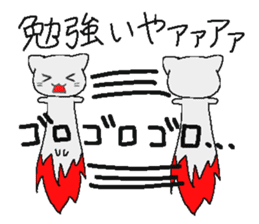 Examination cat OKOJO sticker #5350045