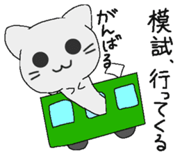 Examination cat OKOJO sticker #5350046