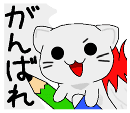 Examination cat OKOJO sticker #5350048