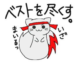 Examination cat OKOJO sticker #5350055