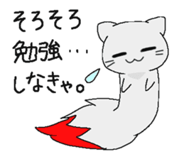 Examination cat OKOJO sticker #5350057